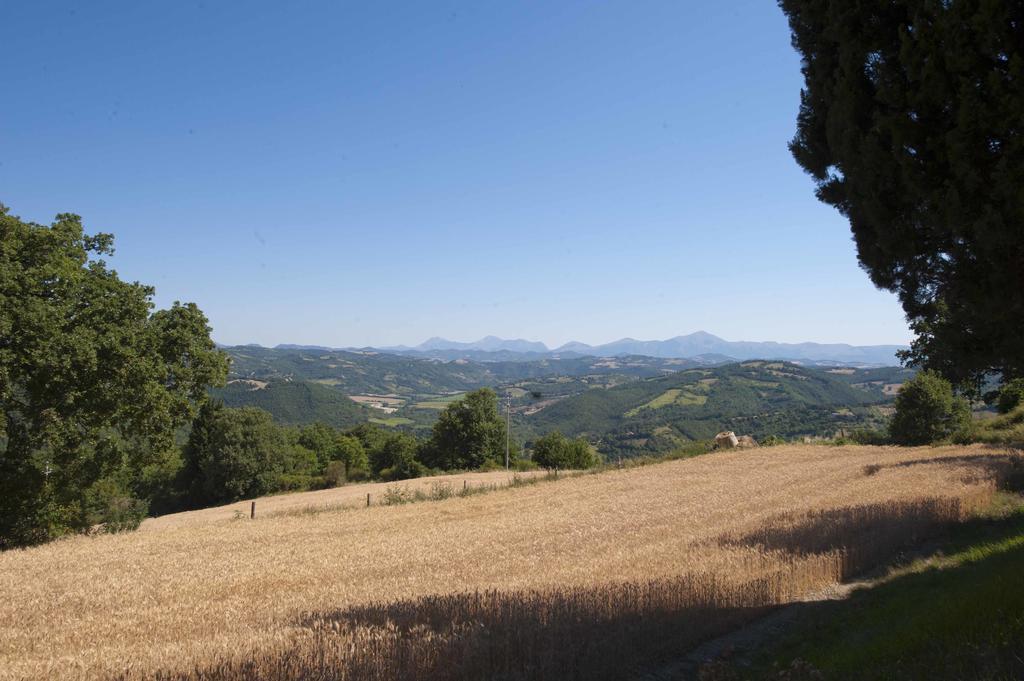 Agriturismo Tenuta Di Biscina エクステリア 写真
