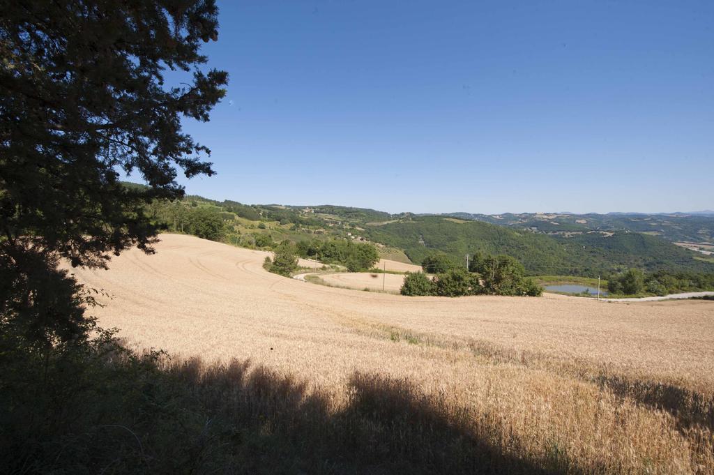 Agriturismo Tenuta Di Biscina エクステリア 写真