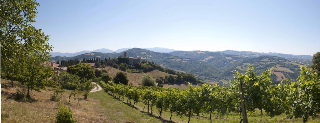 Agriturismo Tenuta Di Biscina エクステリア 写真