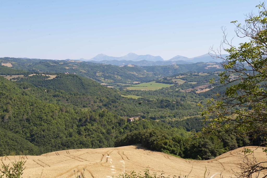 Agriturismo Tenuta Di Biscina エクステリア 写真