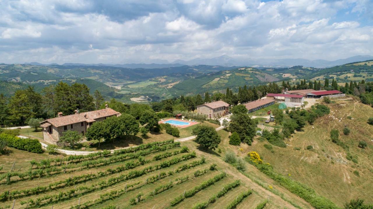 Agriturismo Tenuta Di Biscina エクステリア 写真