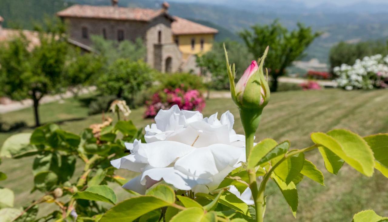 Agriturismo Tenuta Di Biscina エクステリア 写真
