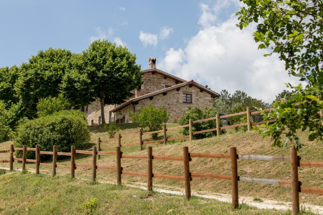 Agriturismo Tenuta Di Biscina エクステリア 写真